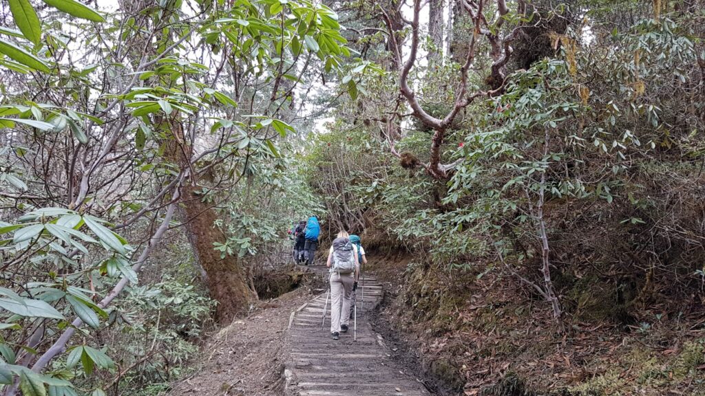 Sikkim trek