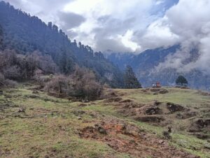 Sikkim flora and fauna