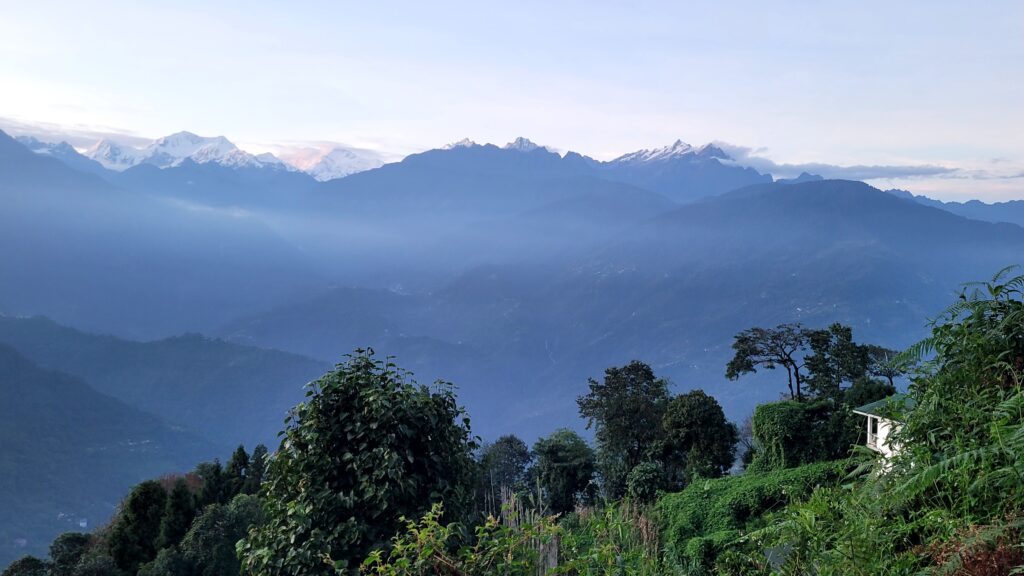 Pelling