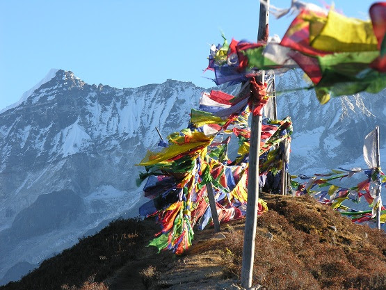 Dzongri trek