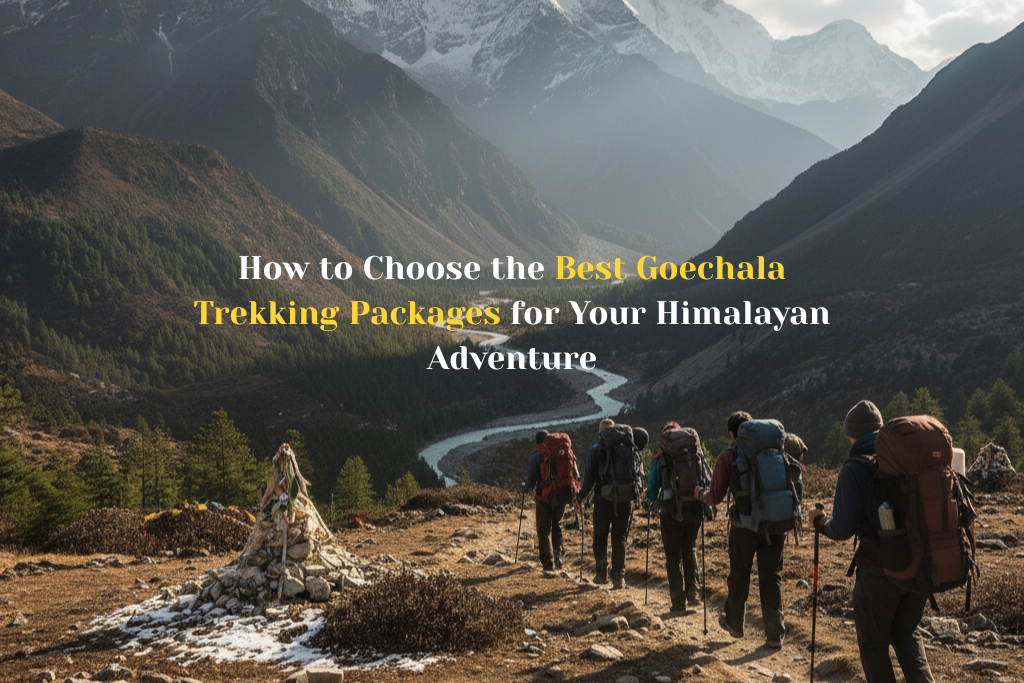 Best Goechala Trekking Package