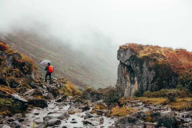 goechala trek indiahikes