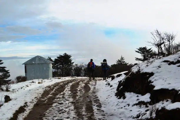 sandakphu trekking