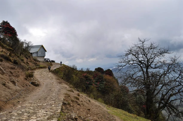 sandakphu trek