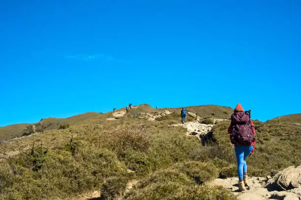 sandakphu phalut trek