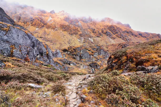 goechala trek indiahikes