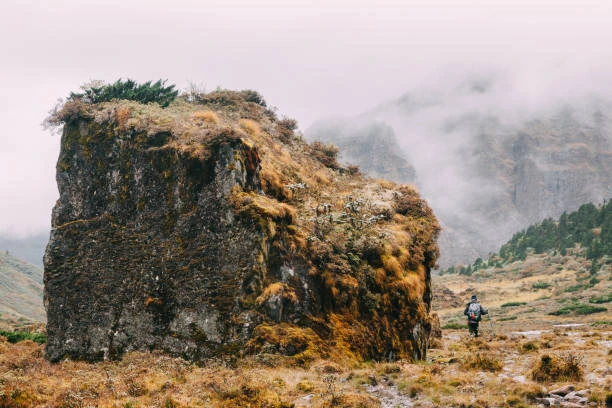 goechala trek indiahikes