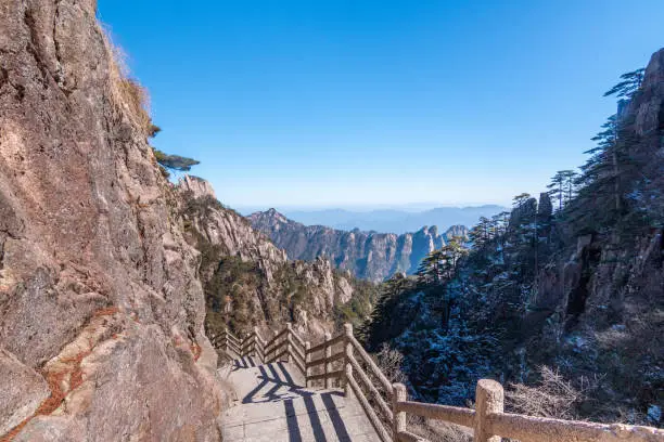 sandakphu in January