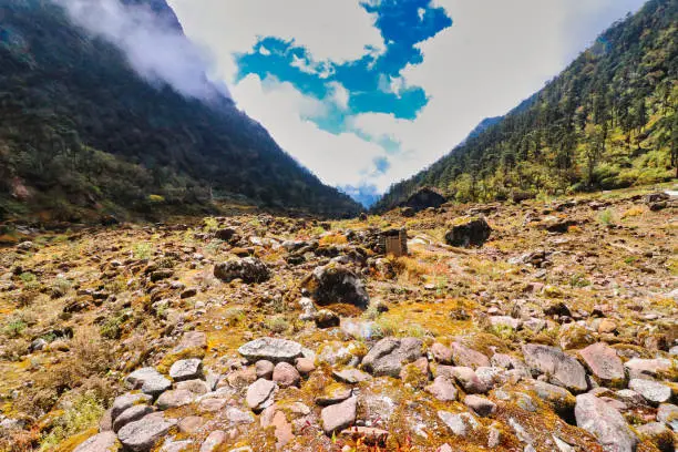 goechala trek indiahikes