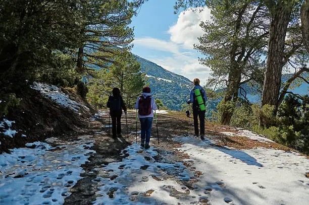 sandakphu in february