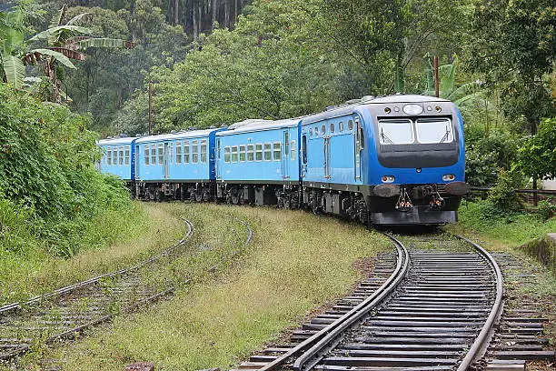 darjeeling to gangtok