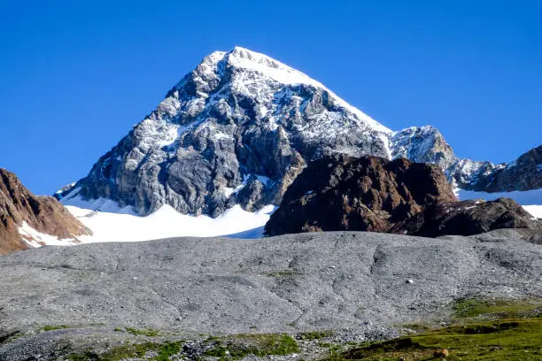 goechala trek indiahikes