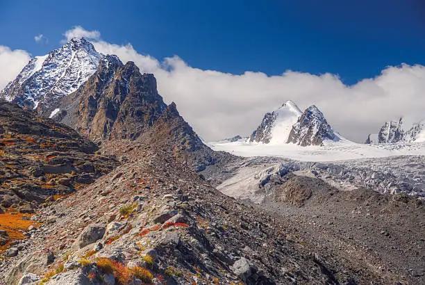 goechala trek indiahikes