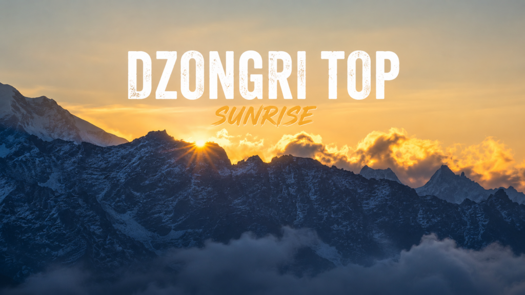 dzongri top sunrise - golden sunlight illuminating Kanchenjunga and Himalayan peaks viewed from Dzongri Top, Sikkim