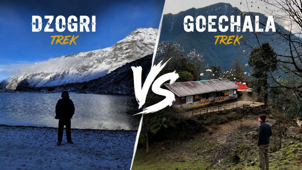 Dzongri trek vs Goechala trek comparison chart. word