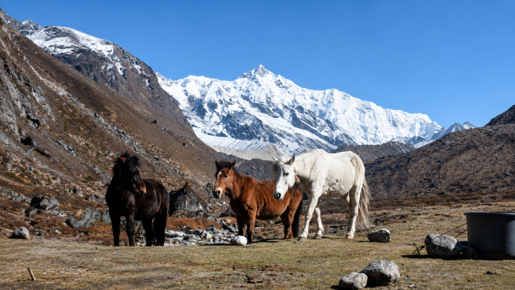 Sandakphu trek cost details