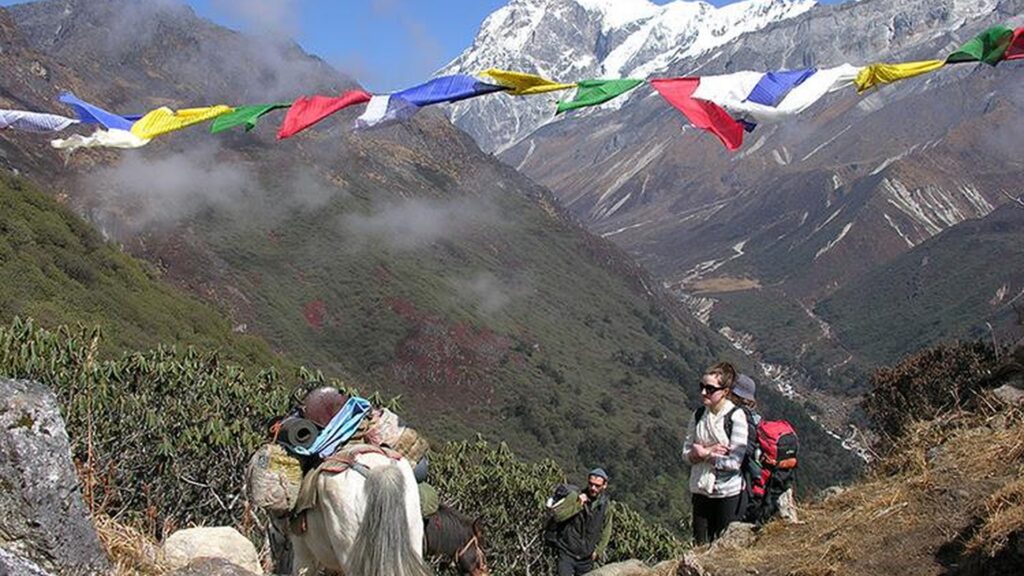 Understanding the Sandakphu trek difficulty – moderate altitude gain and long walking days on the Singalila Ridge